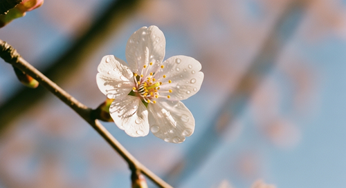 なぜ休んでいるのに疲れが取れないのか
