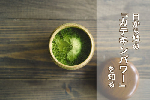 目から鱗の『カテキンパワー』を知る