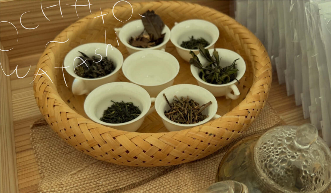 お茶と私と、イベント - 知覧茶専門店 YOGŪ