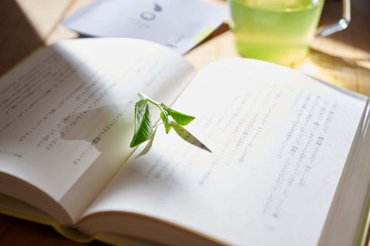 【新茶】KUTOTEN (知覧茶｜リーフ) 3g - 知覧茶専門店 YOGŪ